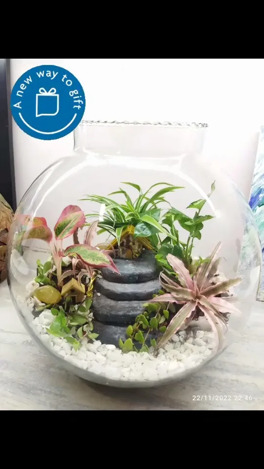 Mini Gardens